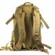 Morral Hiking - Coyote